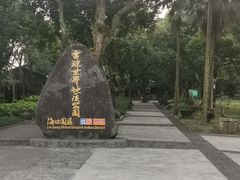 -海口火山口国家地质公园