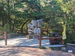 -大芦花风景区