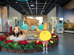 -陕西自然博物馆