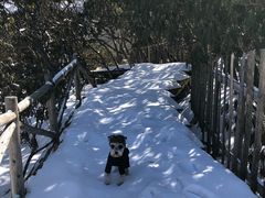 -太子岭滑雪场