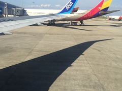 -全日本空输株式会社(上海办事处)