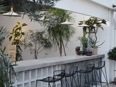 -自由生长植物工作室(深港花卉中心店)