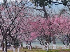 -杭州西湖风景名胜区-北街寻梦