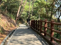 -羚羊峡古栈道森林公园