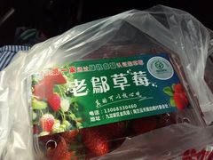 -重庆九凤瑶池海明山庄