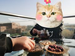 -茯茶镇