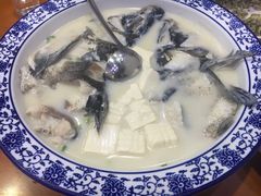 -全乐鱼馆·淳牌有机鱼直营店