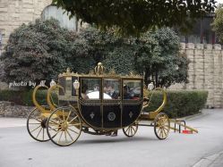 P1020217-金庭庄园酒店彩虹厅