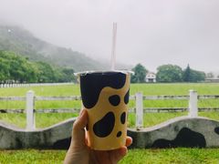 -瑞穗牧场