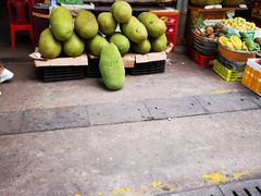 -新鸿港水果市场