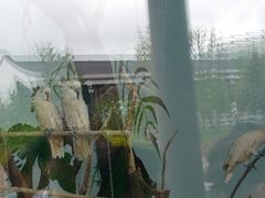 -长春农博园