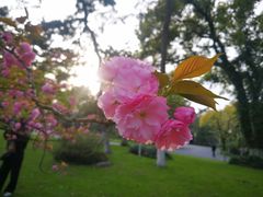 -浙江西子宾馆·瑶园咖啡厅