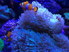 -多彩贵州城极地海洋世界