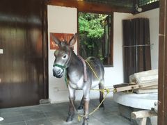 -天目湖山水园