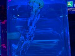 -秦皇岛新澳海底世界