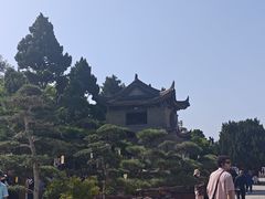 -大慈恩寺(大雁塔)