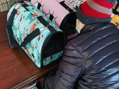 -欧奕国际动物医院