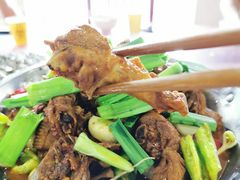 红烧鸡-老虎土菜馆·农家土菜