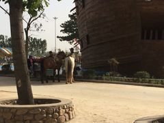 七彩沙河水上乐园-七彩沙河水上乐园