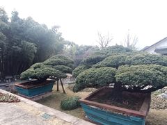 -水绘园