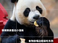 -广州长隆野生动物世界