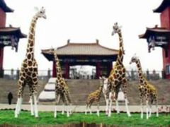-太原动物园