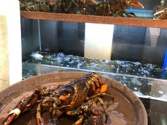 -斯比特花园西餐厅(东方商厦店)