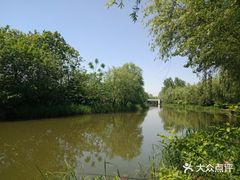 -新江湾城公园