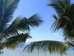 -三亚西岛海洋文化旅游区