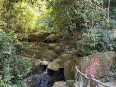-大雁山风景区