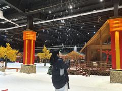 -宁波冰雪大世界(北仑区)