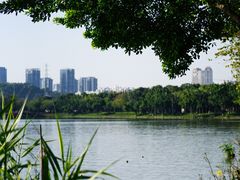 -顺峰山公园