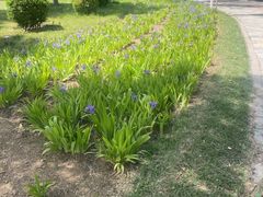 -燕郊植物园