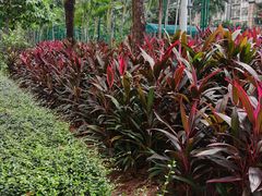 -猎德游泳池(猎德花园店)