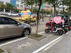 -大伊山景区