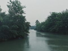 -太极禅苑