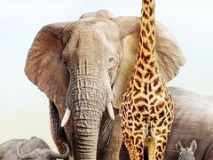 -泉州海丝野生动物世界