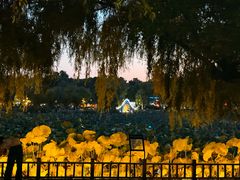 -长春市南湖公园