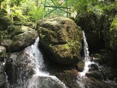 -藏龙百瀑风景区