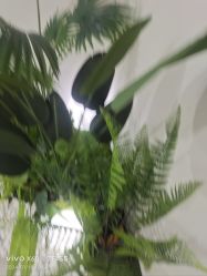 -HEYAN荷妍专业脱毛连锁机构