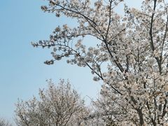 -江苏三台山国家森林公园