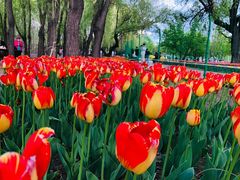 -长春公园(普阳街道)