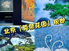 -罗红摄影艺术馆