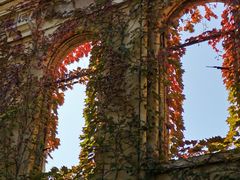 -千日贺茶餐厅(高新万达店)