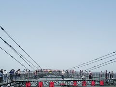 -梦幻奥陶纪景区