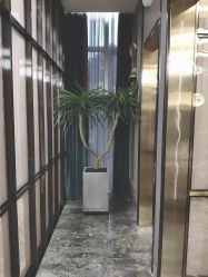 -侨治发型