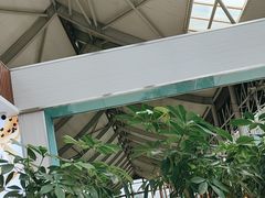 -丽江三义国际机场