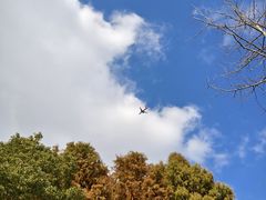 -南汇新城城市公园