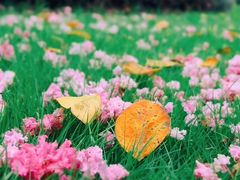 -杭州城北体育公园