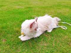 -露天矿生态公园